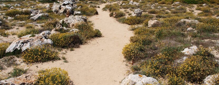 menorca walking trail